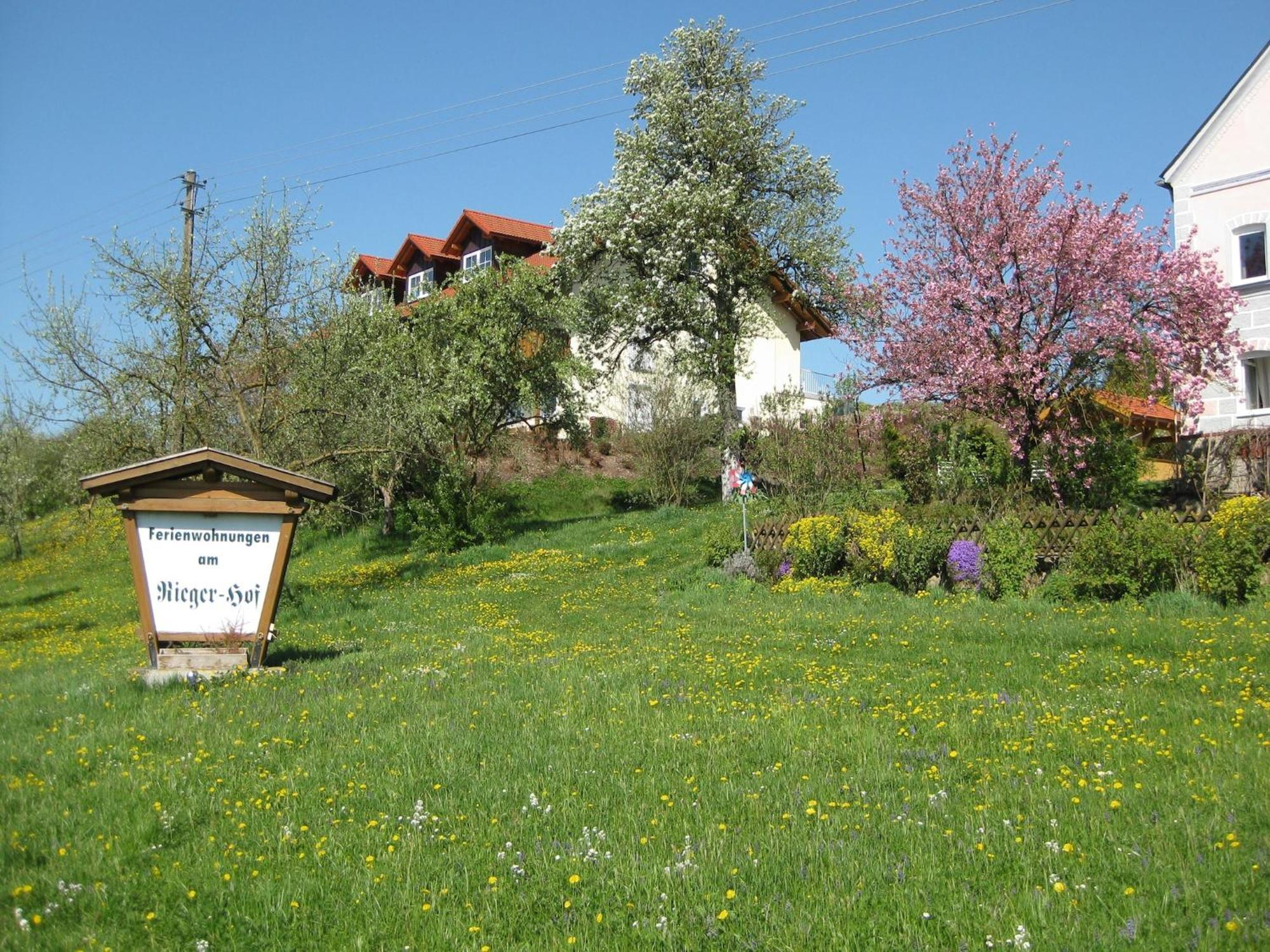 Comfortable Apartments In Rotthalm Nster Rotthalmuenster Εξωτερικό φωτογραφία