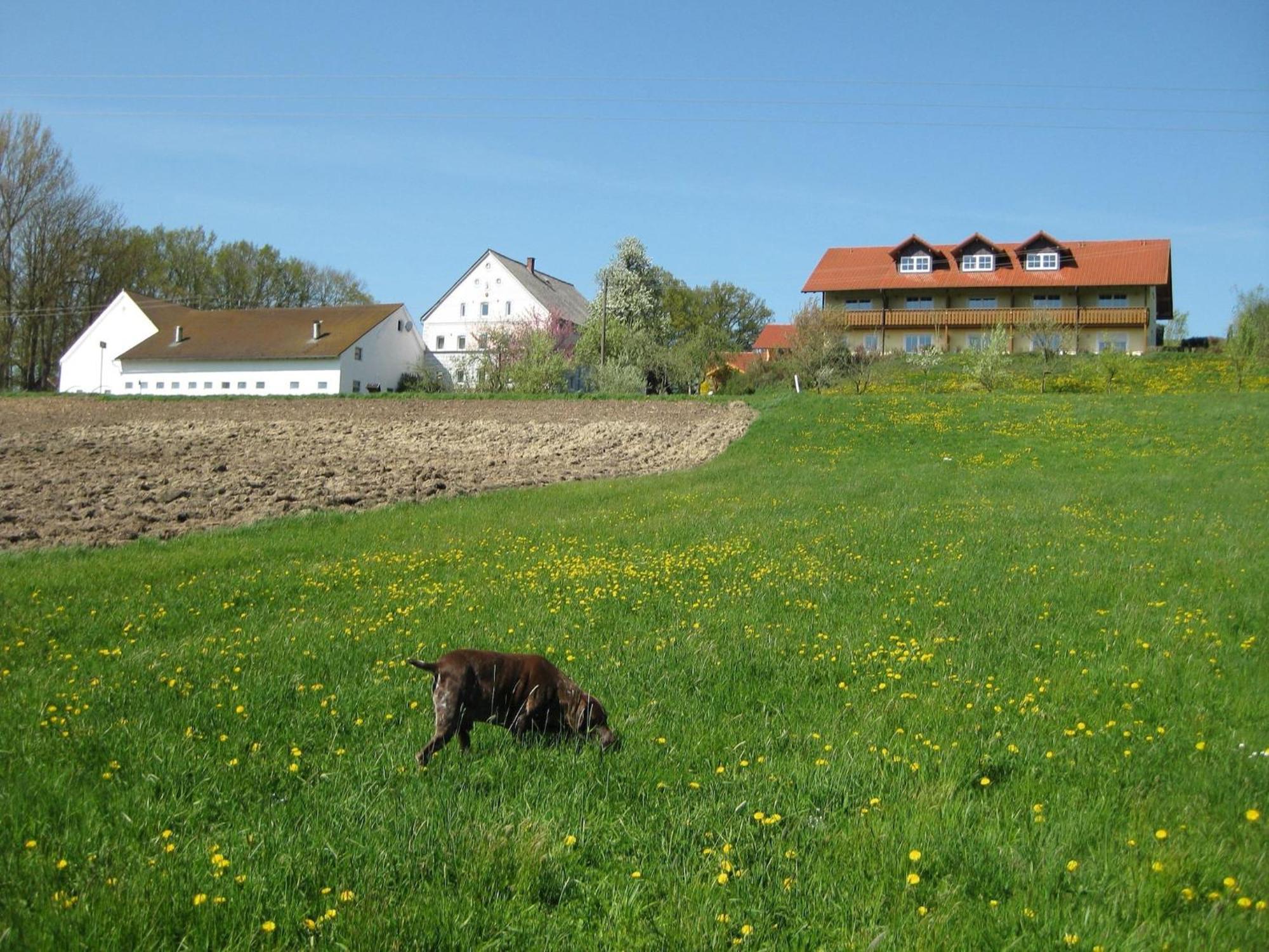 Comfortable Apartments In Rotthalm Nster Rotthalmuenster Εξωτερικό φωτογραφία