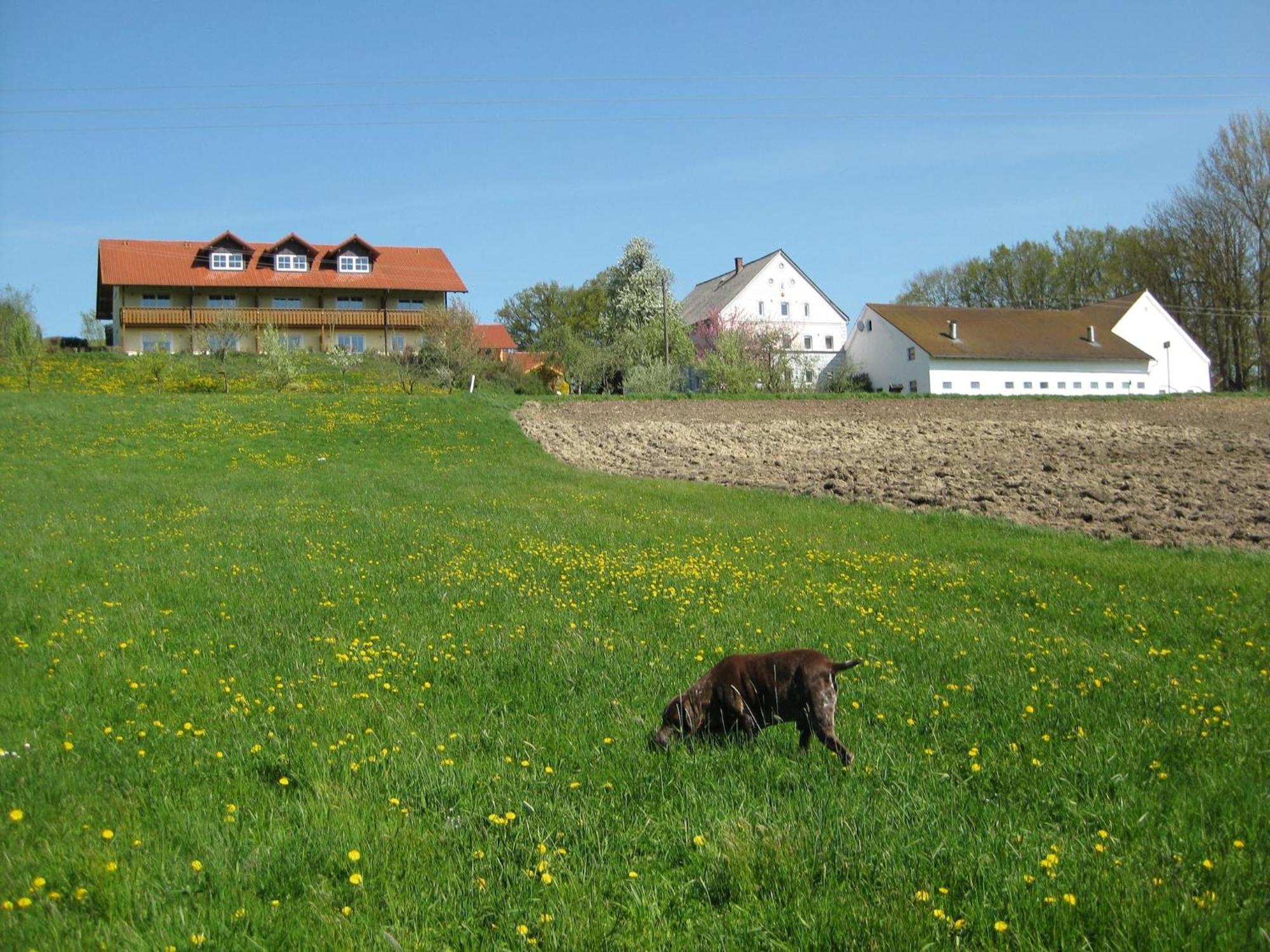 Comfortable Apartments In Rotthalm Nster Rotthalmuenster Εξωτερικό φωτογραφία